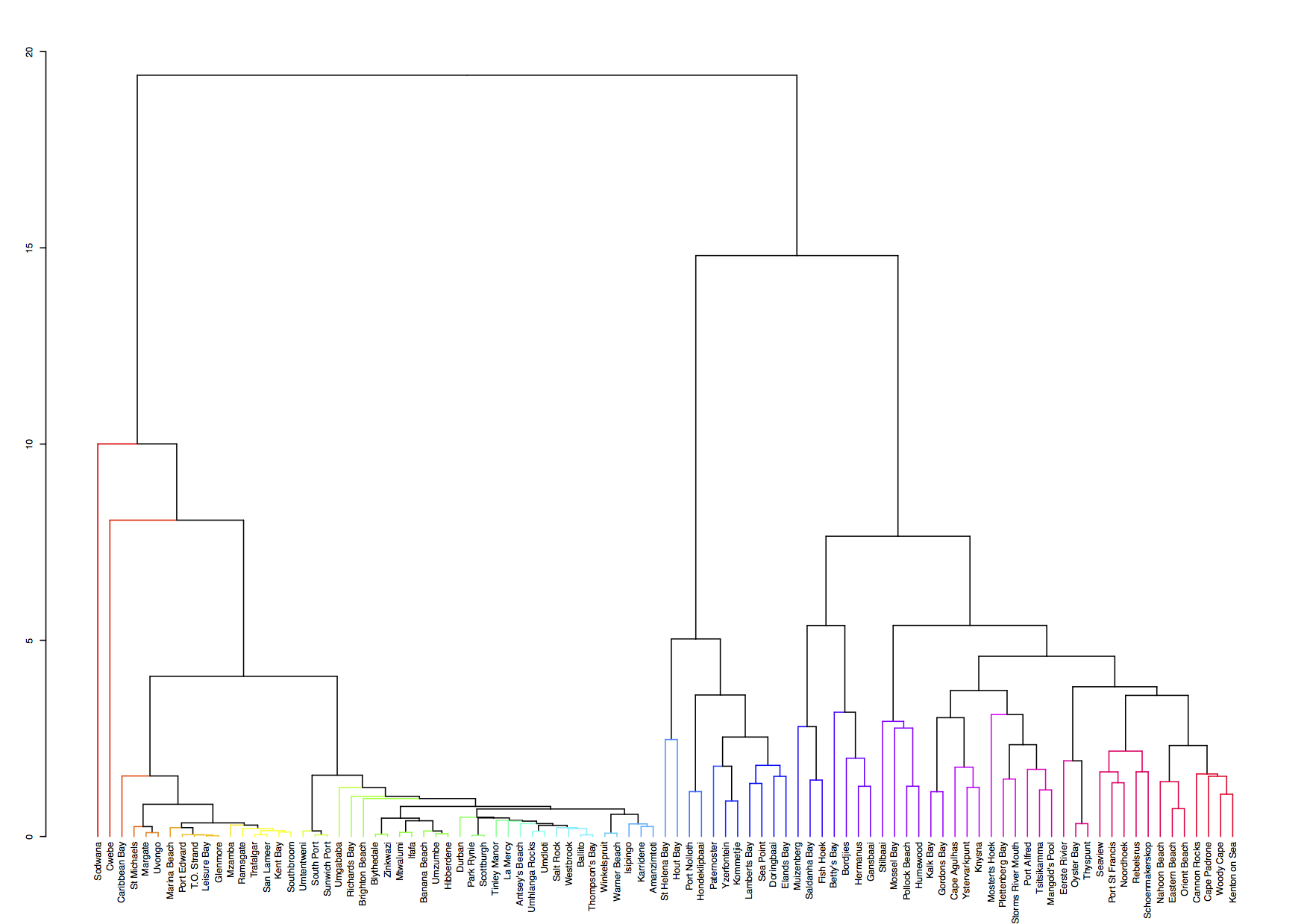 A hierarchical cluster analysis.